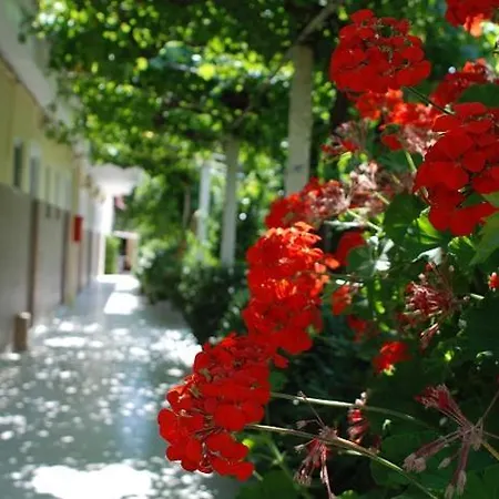 Manao Summer House * Tsilivi (Zakynthos)