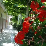 Manao Summer House * Tsilivi (Zakynthos)